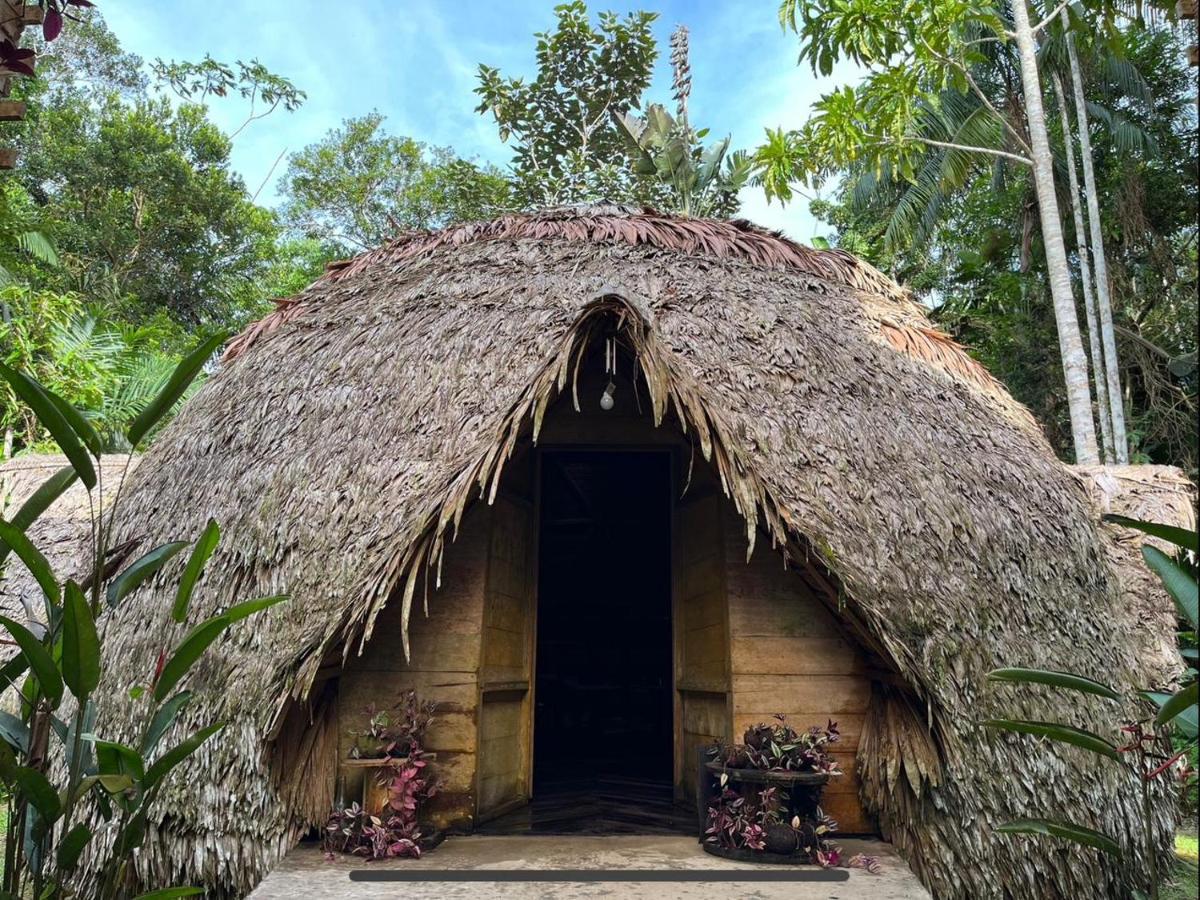 Palmayacu - Refugio Amazonico Leticia Exterior foto