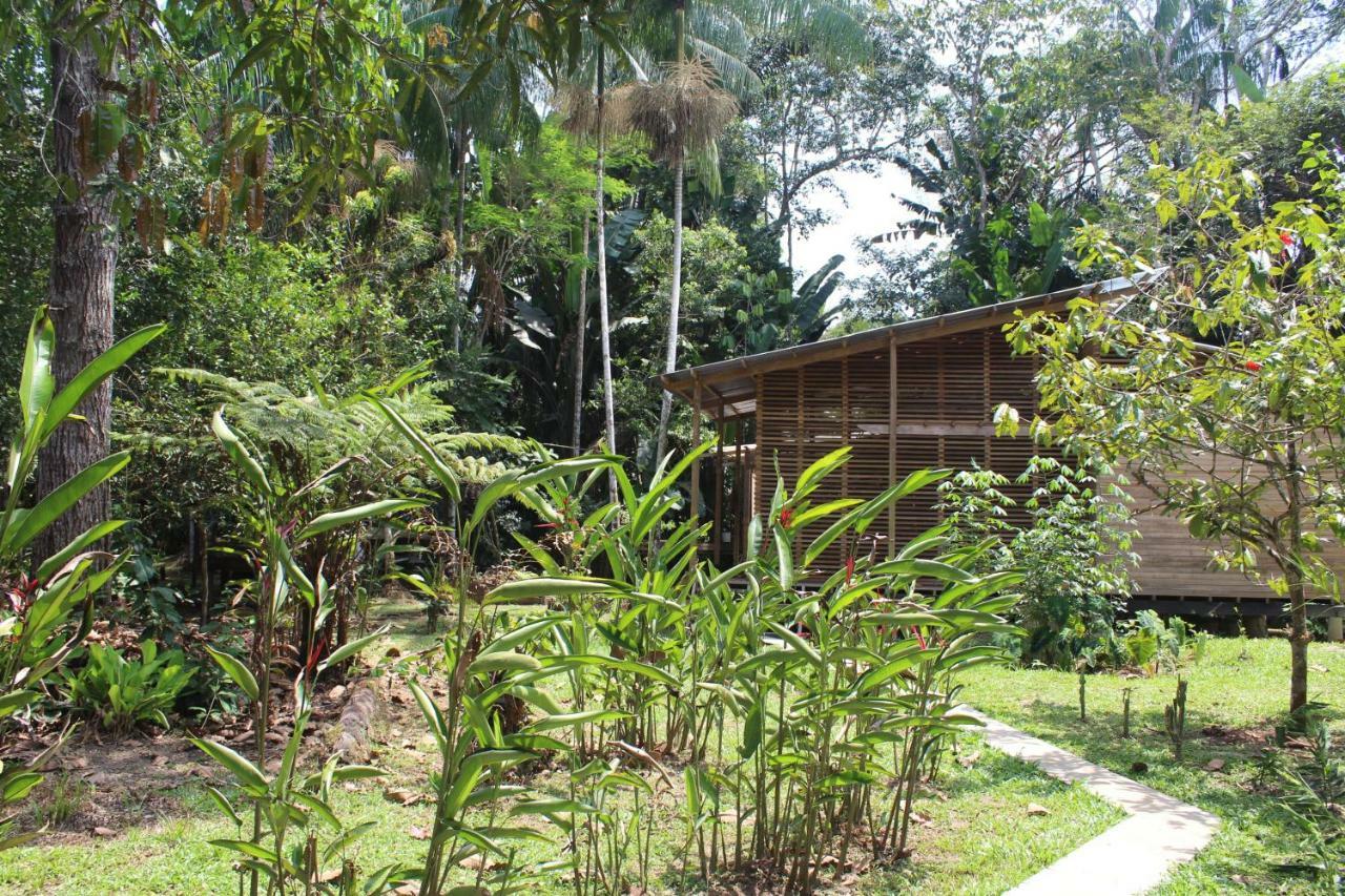Palmayacu - Refugio Amazonico Leticia Exterior foto