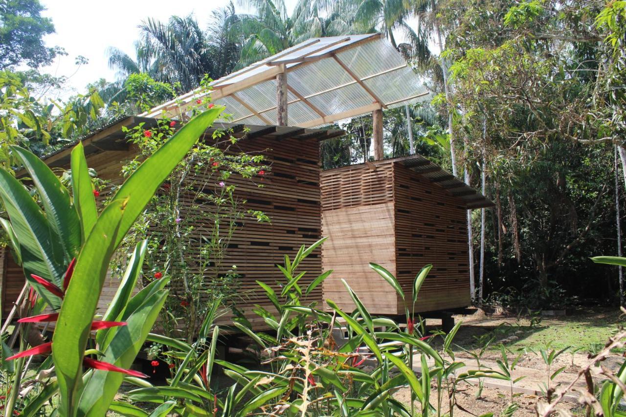 Palmayacu - Refugio Amazonico Leticia Exterior foto